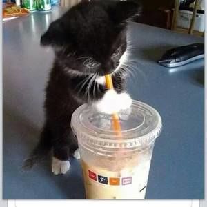 Meet your Posher, Mary-jeanne